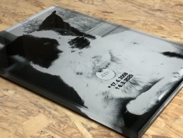 skleněný náhrobek, epitafní skleněná deska, skleněná deska na hrob, fotografie na hrob ze skla, skleněný pomník pro pejska skleněný náhrobek, epitafní skleněná deska, skleněná deska na hrob, fotografie na hrob ze skla, skleněný pomník pro pejska