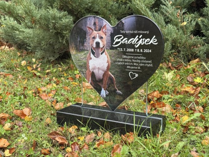 Corazón para mascota - piedra pulida de su elección incluyendo foto